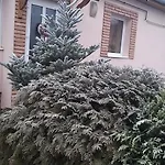 Edenkert Apartmanhaz Апартаменты