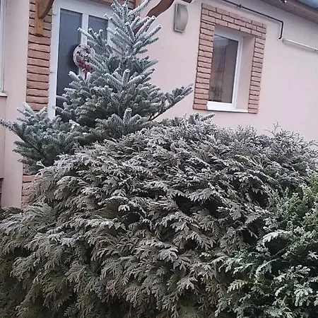 Edenkert Apartmanhaz Apartment