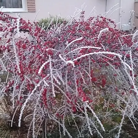 Edenkert Apartmanhaz Kisvárda